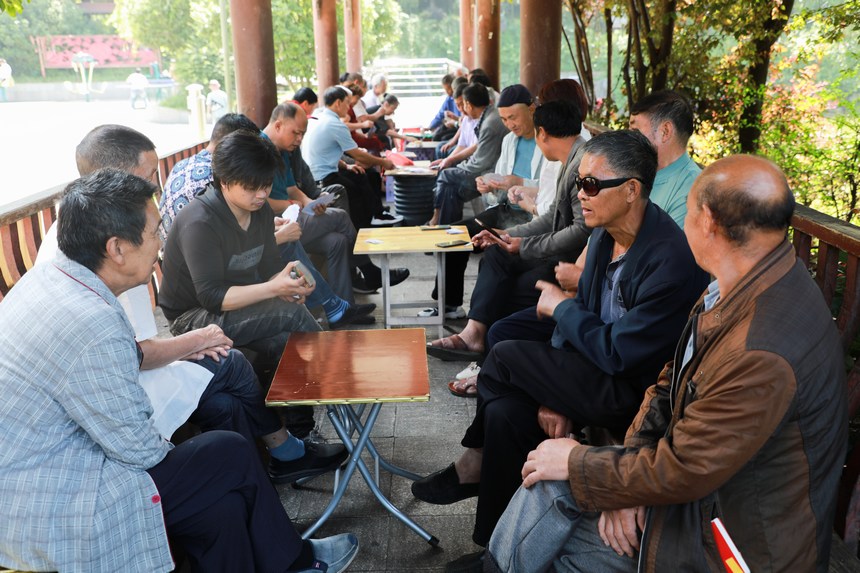 7月29日，市民在大方县奢香公园进行棋牌娱乐活动。