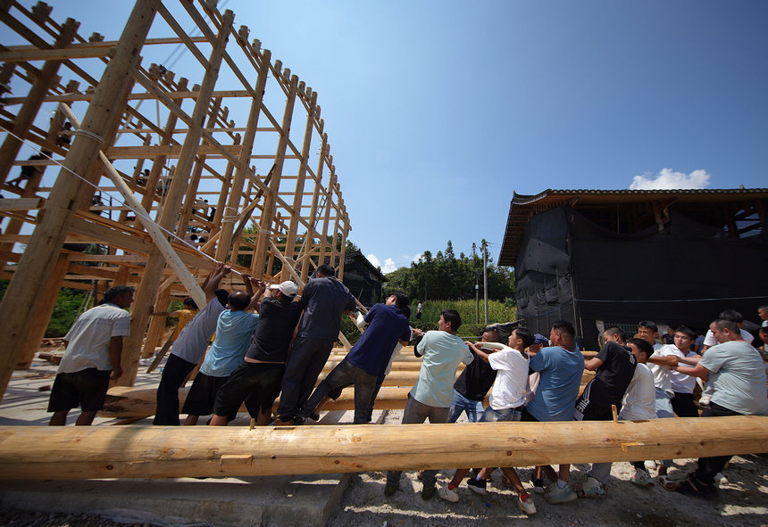 8月4日，村民们在拉正吊脚楼房架。