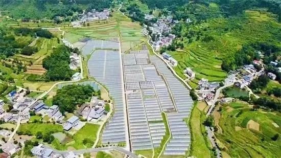 万山区鱼塘乡。