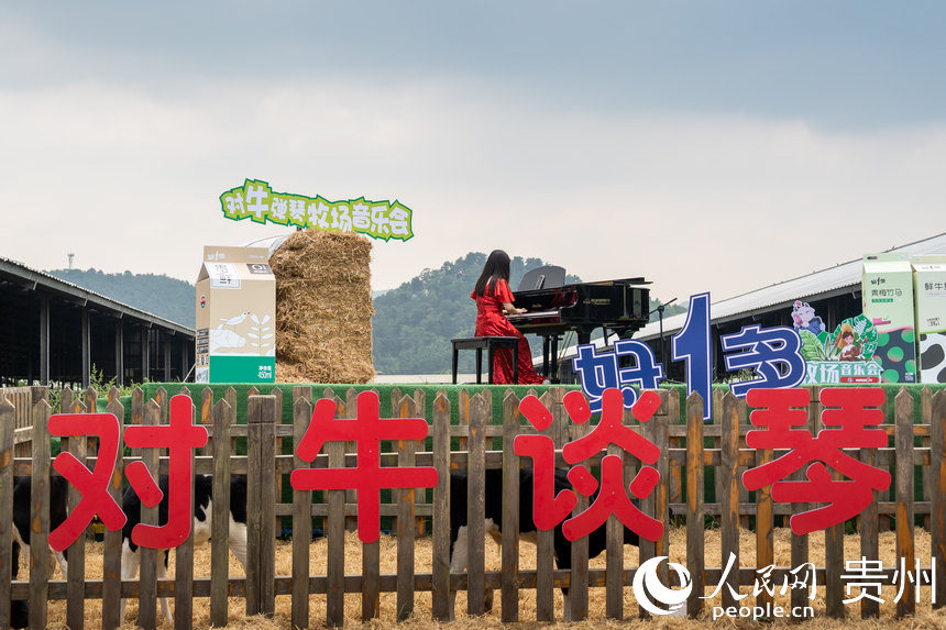 好一多“對牛談琴”音樂會現場。人民網 涂敏攝