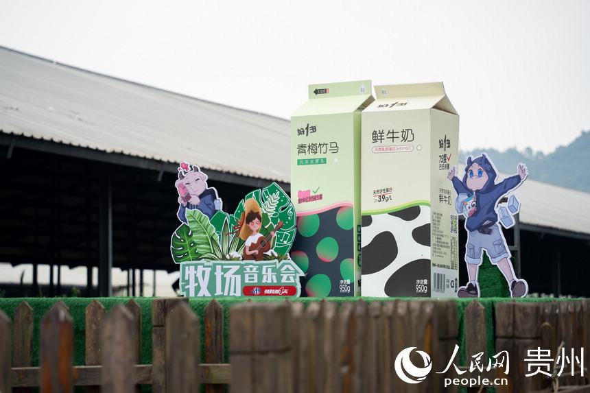 好一多“對牛談琴”音樂會現場。人民網 涂敏攝