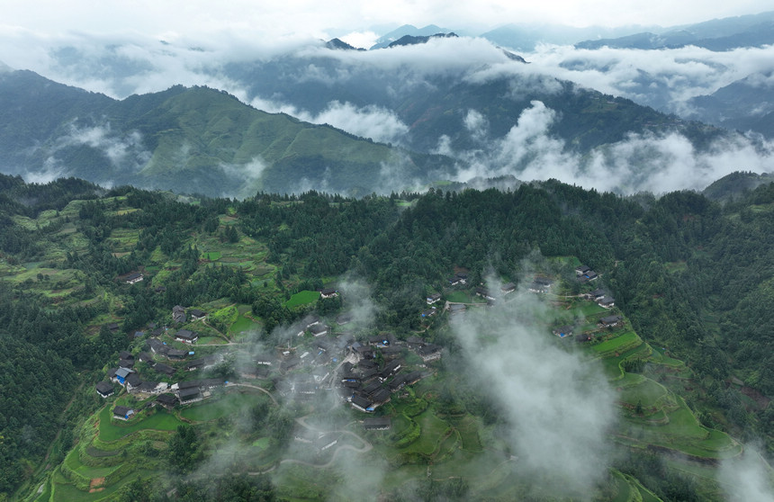 8月5日拍攝的排莫村苗寨梯田景觀（無人機照片）。