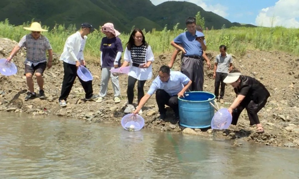 集中放流65萬尾增殖魚苗。