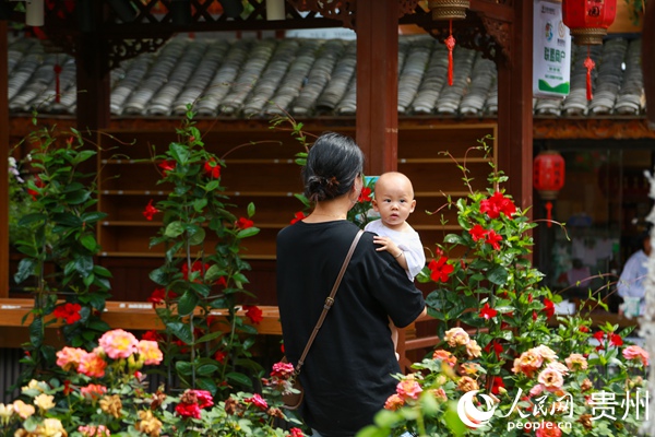 游客在车田村玫瑰园游玩。人民网 阳茜摄
