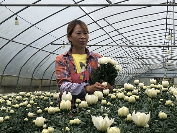 金沙縣平壩鎮三岔村村民葉良艷。