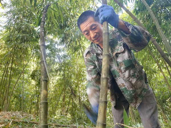 楊龍金劈砍方竹 婁臣攝