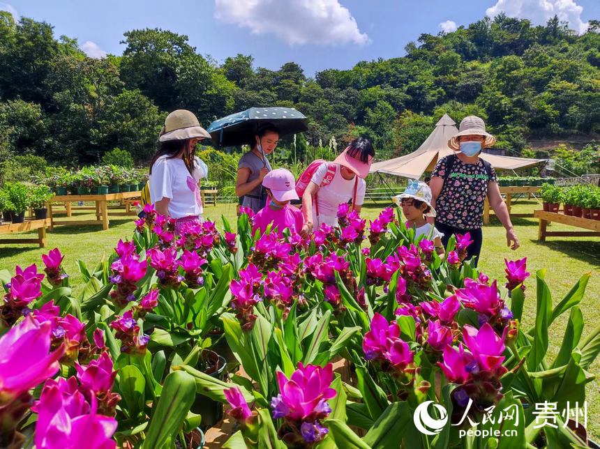 游客觀賞園藝區鮮花。人民網 李麗萍攝