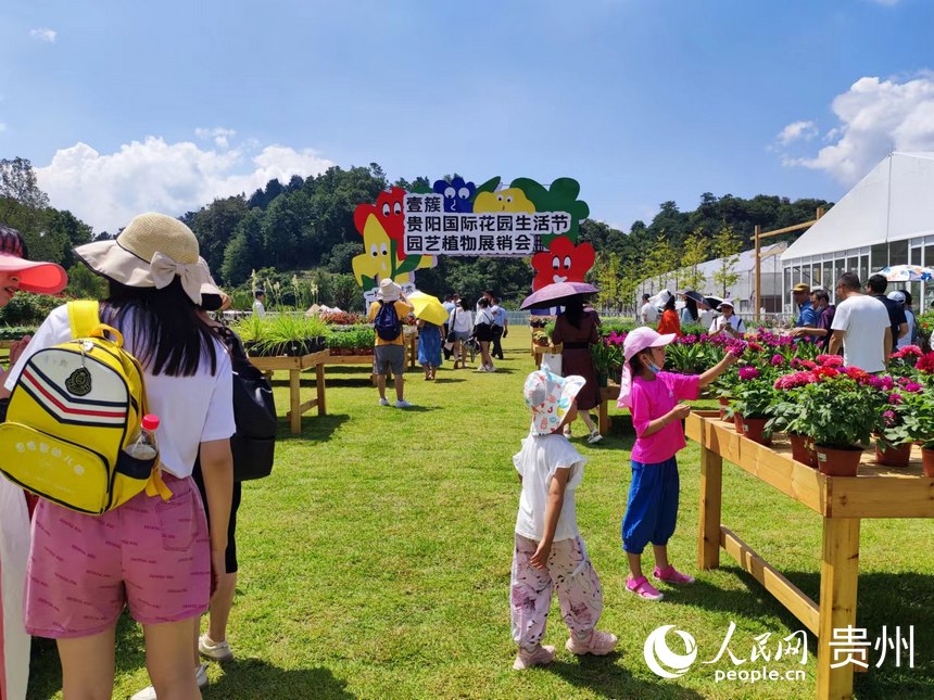 園藝植物展銷會現場。人民網 李麗萍攝