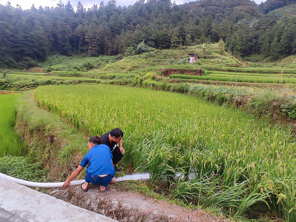 九潮镇组织党员干部为群众稻田灌溉缓解旱情。