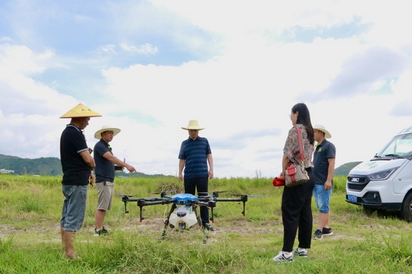 組織無人機專業團隊及農業技術干部深入一線。