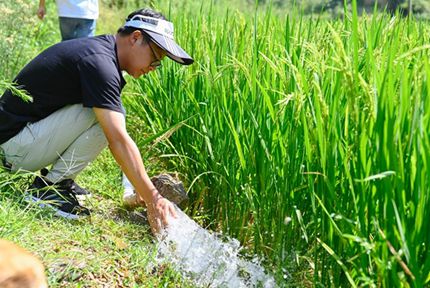觀山湖區百花湖鎮：想方設法為稻田“補水”  全力以赴穩產保豐收“農業就是‘看天吃飯’，稻田缺水的情況今年還是頭一回，現在稻子正處於灌漿期，必須有充足的水才行……”