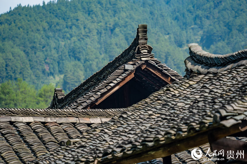 季刀苗寨民居的小青瓦屋顶。人民网 涂敏摄