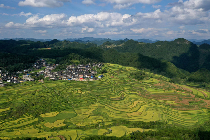 8月28日拍摄的贵州省黔东南苗族侗族自治州丹寨县高要梯田（无人机照片）。