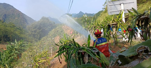 消防救援人员在火龙果基地灌溉浇水3