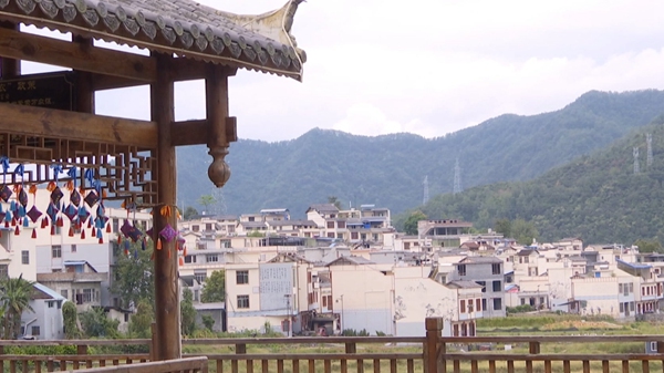 5村庄一隅