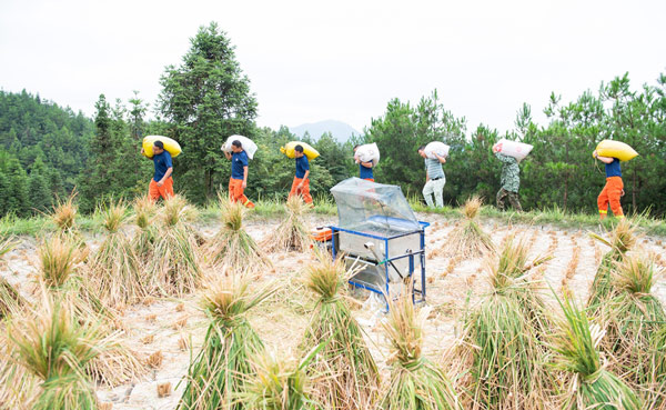 天柱县消防救援队队员在蓝田镇公闪村帮农户扛谷子。
