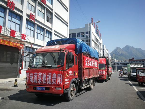 裝車的蔬菜、火龍果蓄勢待發。