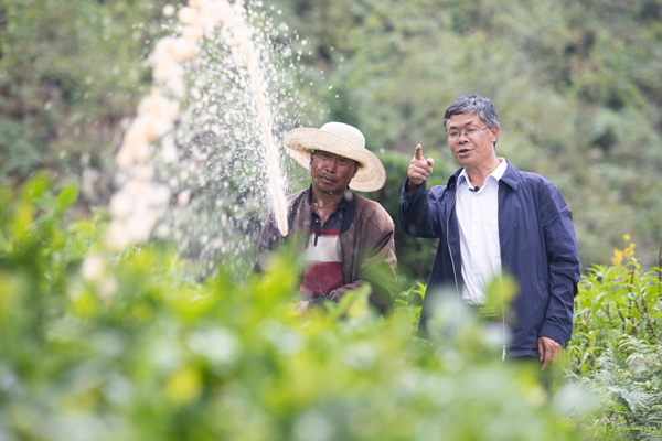 谭正义（右）正在指导村民给茶叶浇灌沼液。罗大富摄