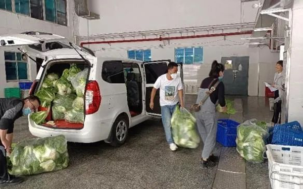 9月4日，高二學生家長捐贈白菜400斤。