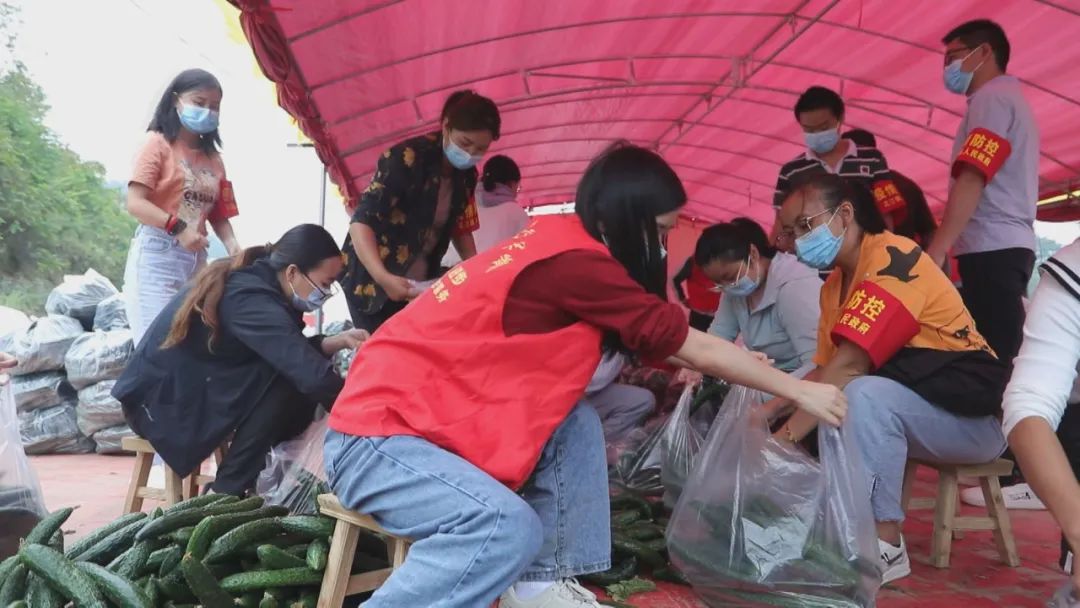图为志愿者挑捡蔬菜。
