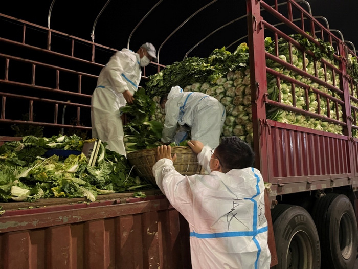 黨員突擊隊深夜轉運蔬菜保障居民生活所需。