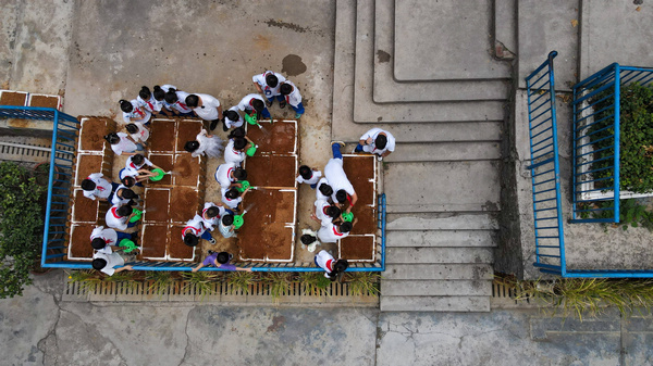 9月19日，凱裡市第四小學科學老師帶著同學們播種蔬菜（無人機照片）。