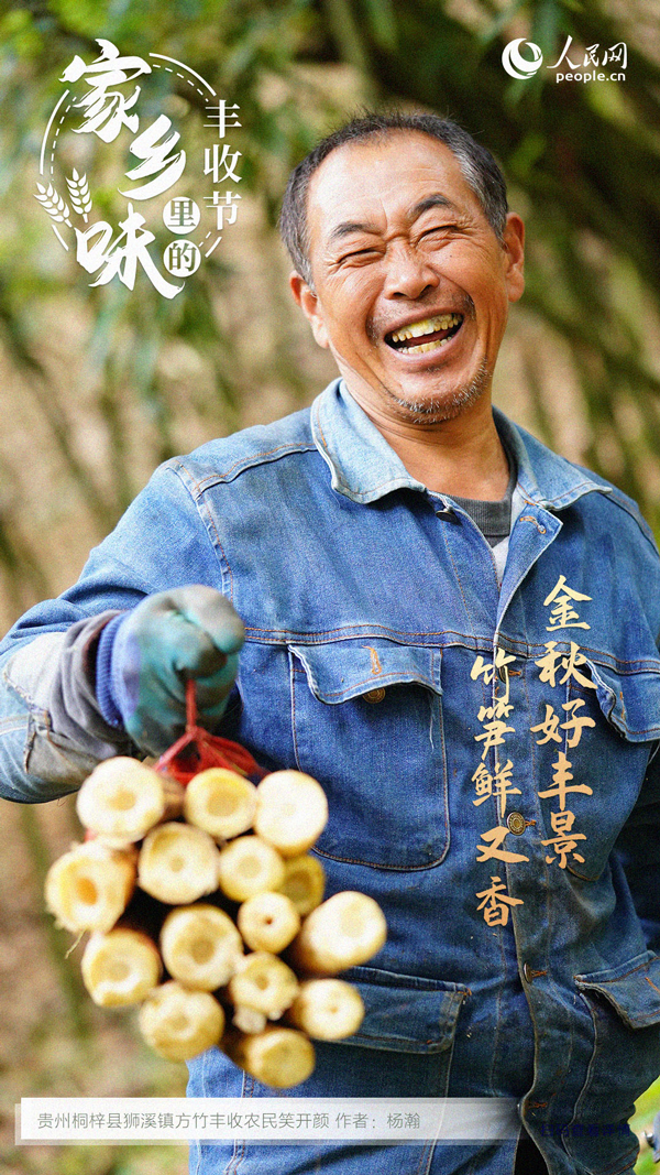 贵州桐梓县成熟的方竹笋。