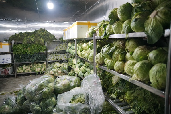 1.库存丰富的蔬菜凝聚着后勤工作人员的艰苦艰辛与汗水。