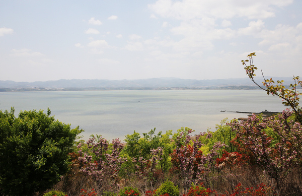 北坡生态绿化成为了保护草海天然生态屏障。