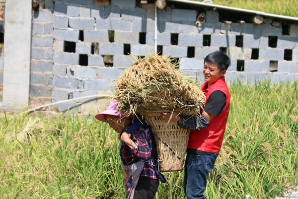 纳雍县昆寨乡新民村，志愿者抱稻谷给村民背。