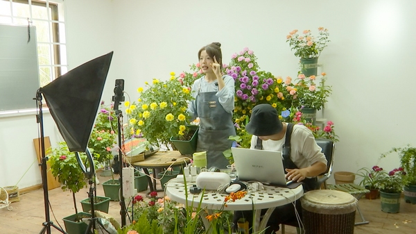 花卉直播。
