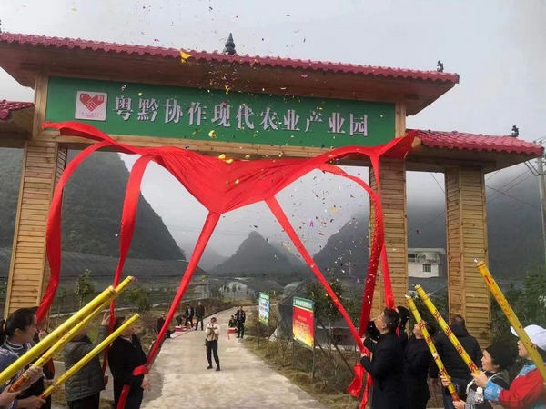 粤黔协作现代农业产业园建成投产。