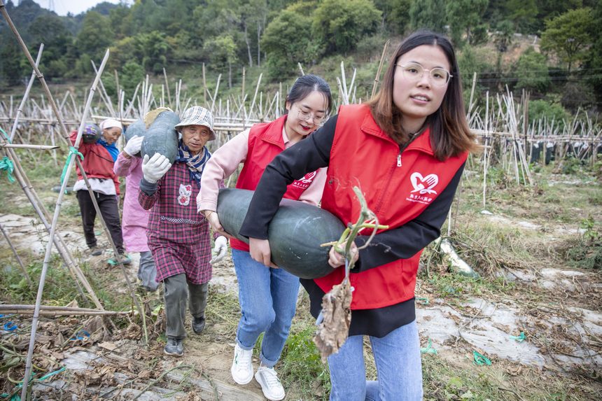 2022年10月8日，贵州省黔东南苗族侗族自治州施秉县城关镇白塘村，党员志愿者与村民在搬运冬瓜。