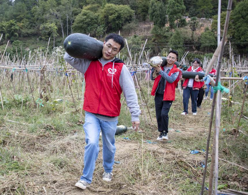 2022年10月8日，貴州省黔東南苗族侗族自治州施秉縣城關鎮白塘村，黨員志願者與村民在搬運冬瓜。