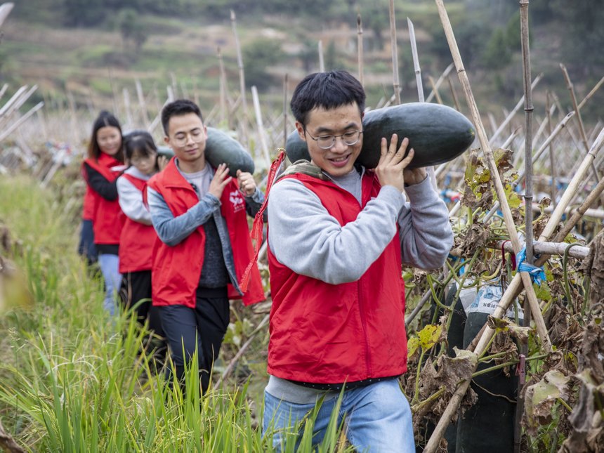 2022年10月8日，貴州省黔東南苗族侗族自治州施秉縣城關鎮白塘村，黨員志願者在搬運冬瓜。