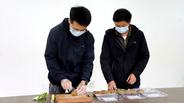 技术员拿出一盒即可食用的猕猴桃，向记者介绍公司新引进的即食技术。