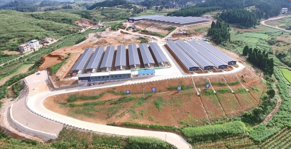 岑巩县龙田镇申安湖羊养殖基地。