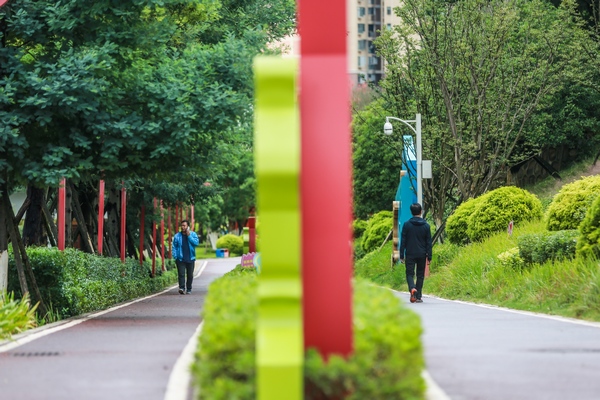 群眾在南山公園全民健身健康步道步行。陳曦攝