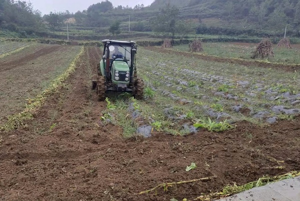大方县安乐乡油菜种植基地里翻地。