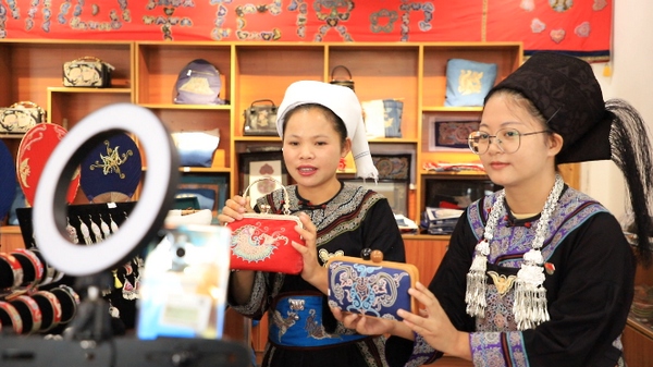 水族妇女靠“针”功夫绣出锦绣“钱”程。