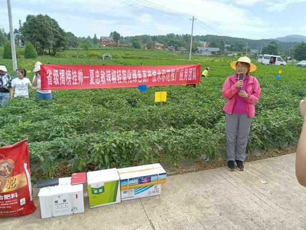 2.夏忠敏团队在新蒲新区山堡村辣椒基地开展培训指导。贵州省农业农村厅供图