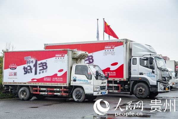 等待运送牛奶的货车。人民网 阳茜摄