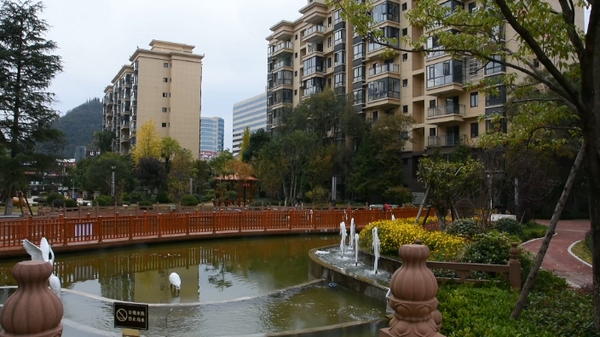 安顺经开区：以“绿”为脉推进园林城市建设 打造生态宜居生活环境。