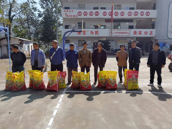 发放仪式现场。