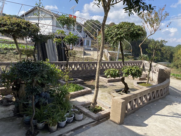 改造后庭院。