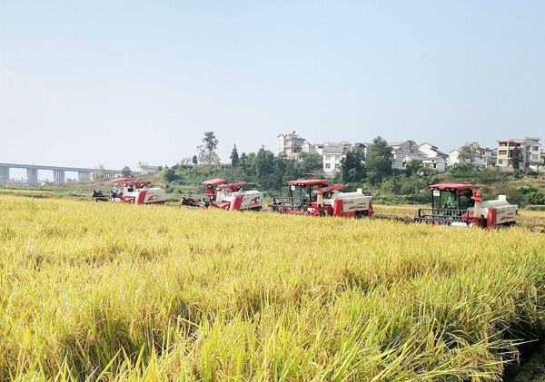 在惠水縣，農機已經廣泛用於農業生產。