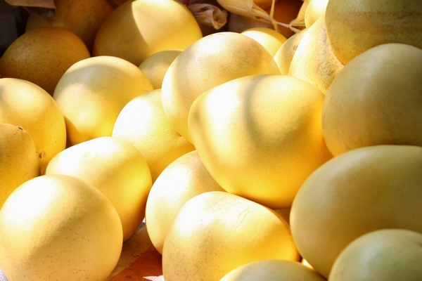 陽光下金燦燦的蜜柚。