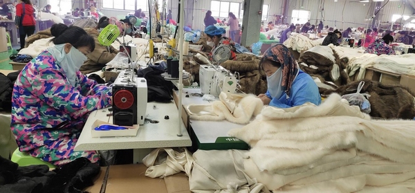 图为：流合大山手工业品制作有限公司厂房内，工人们正忙着赶制毛货订单。