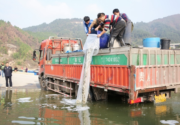 剑河县渔业增殖放流活动现场。