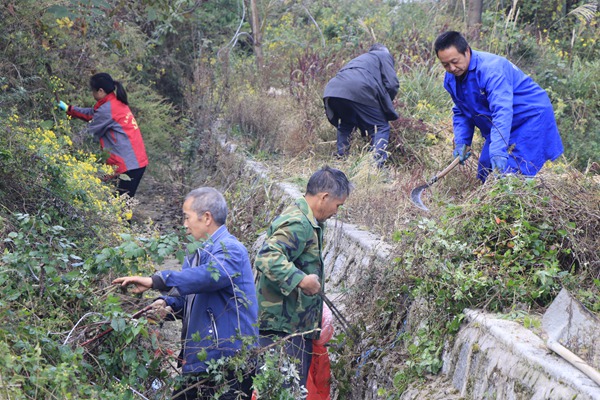 图为：群众志愿者正在清理道路两旁的杂草 (2)
